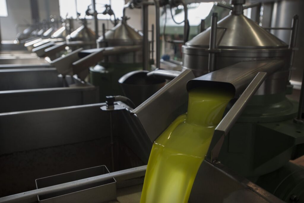 GENERAL ACEITE oleoturismo Pedrosa