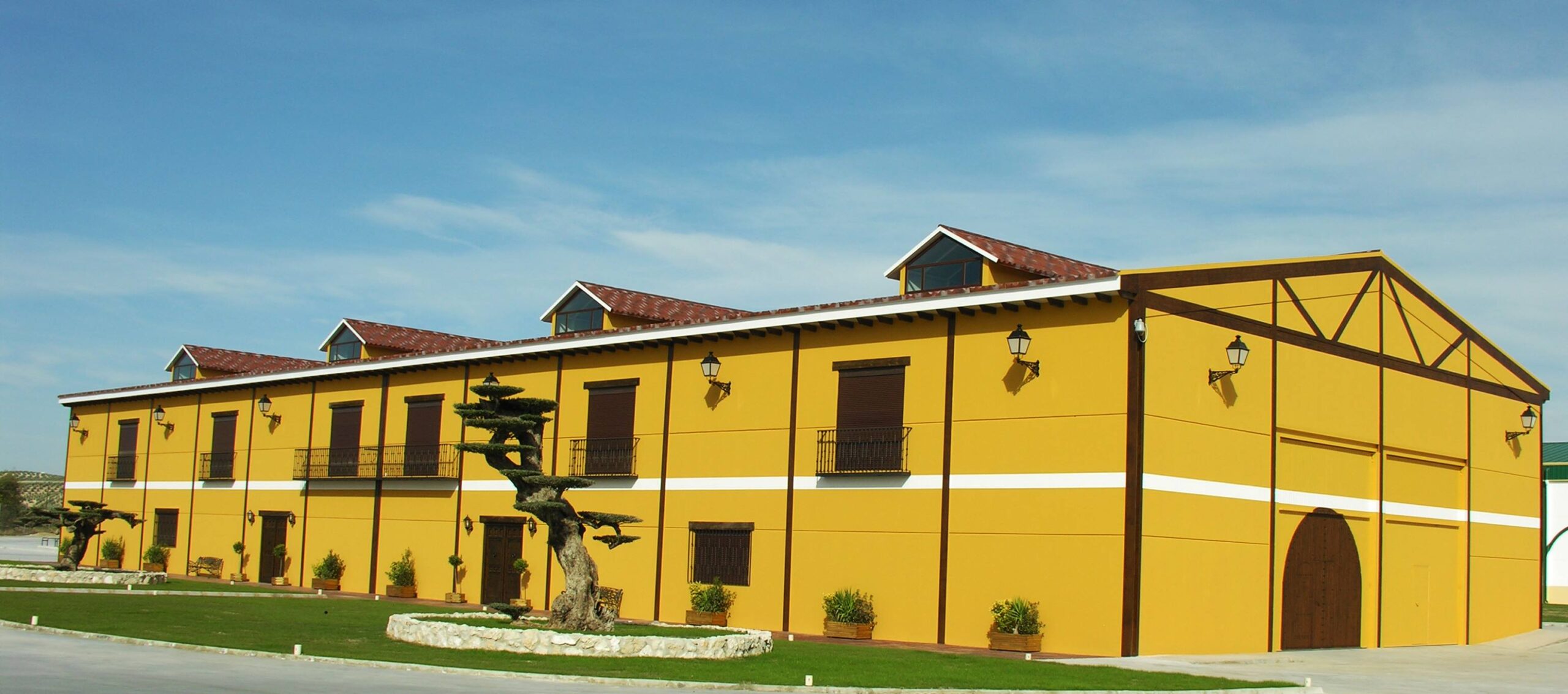 betica aceitera scaled