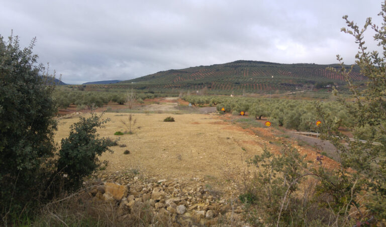 1639213154054Sorihuela EST