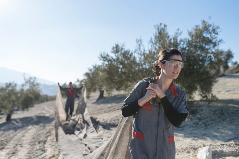 Jovenes agricultores