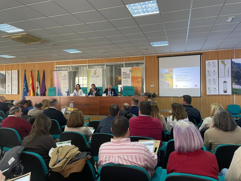 WhatsApp Image 2023 02 15 at 17.34.27 1