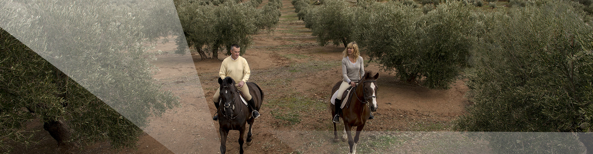 oleoturismo en espana