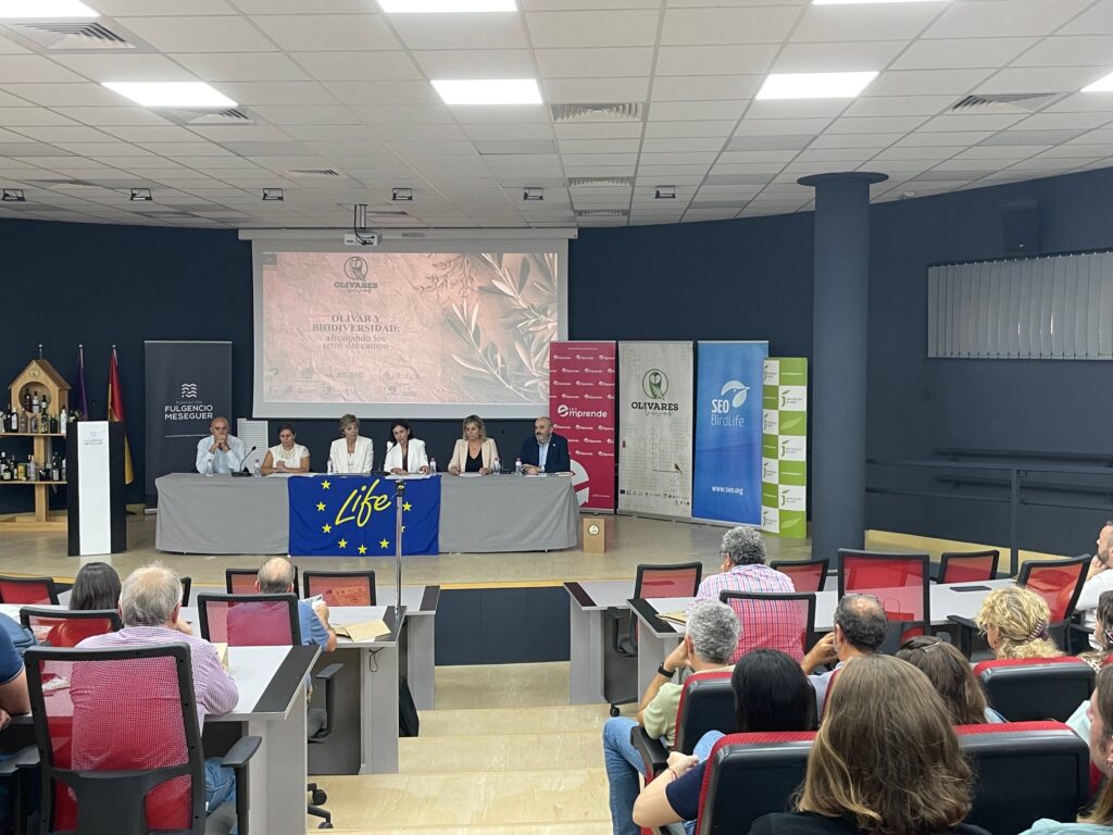 2024019 Olivares vivos (1)