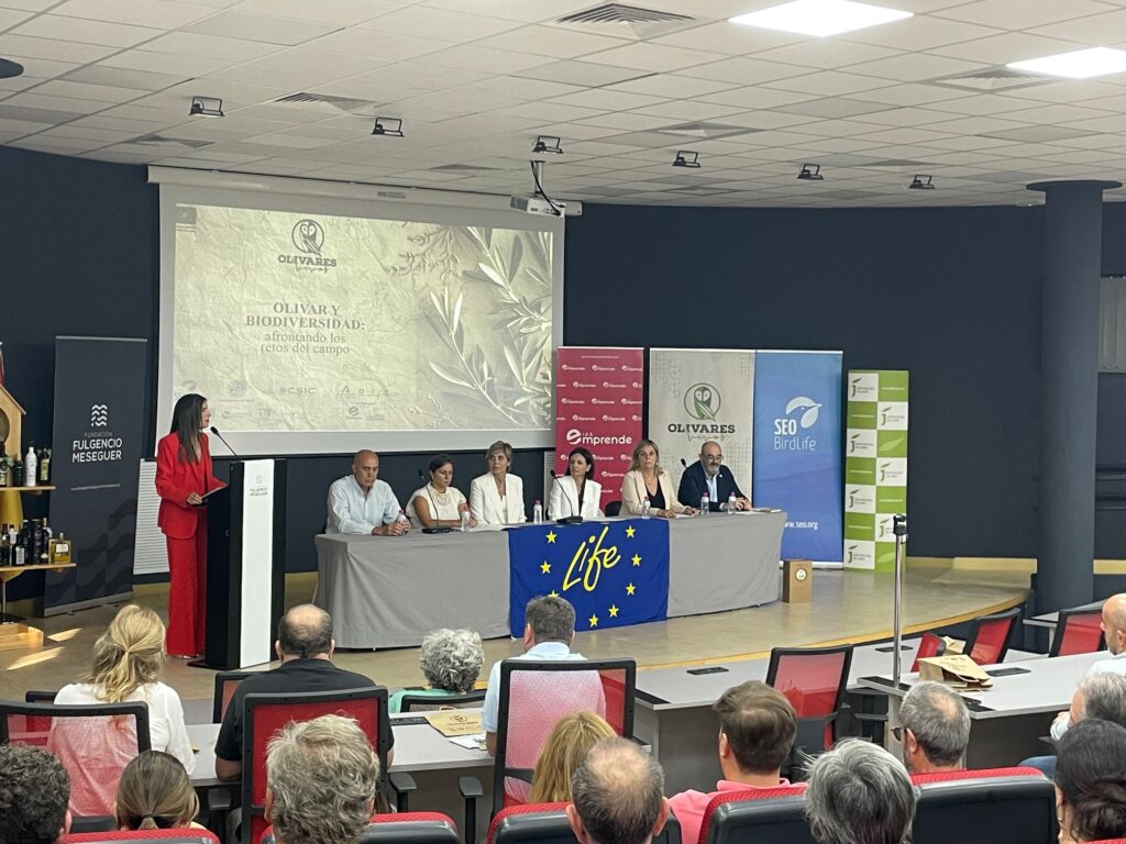 2024019 Olivares vivos (2)