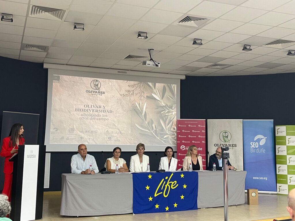 2024019 Olivares vivos (3)