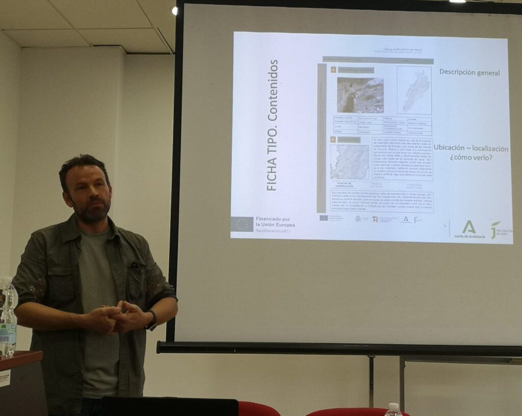 WhatsApp Image 2024 09 24 at 10.24.22