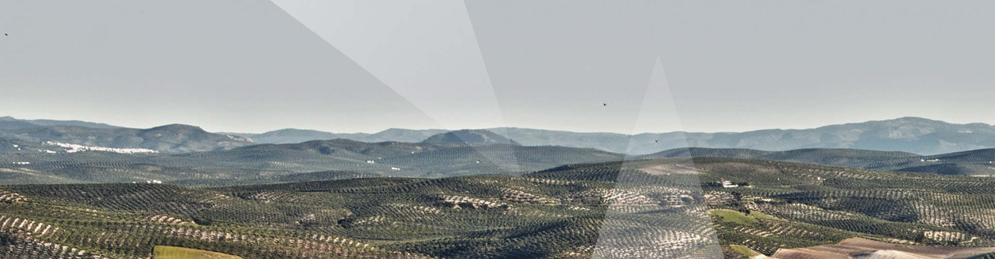 Fondos Europeos Fractales 2048X534 Transparente copia