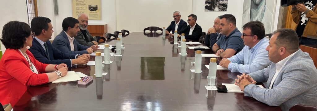 20250523 Presentación programa Fundación Telefónica a ayuntamientos 3