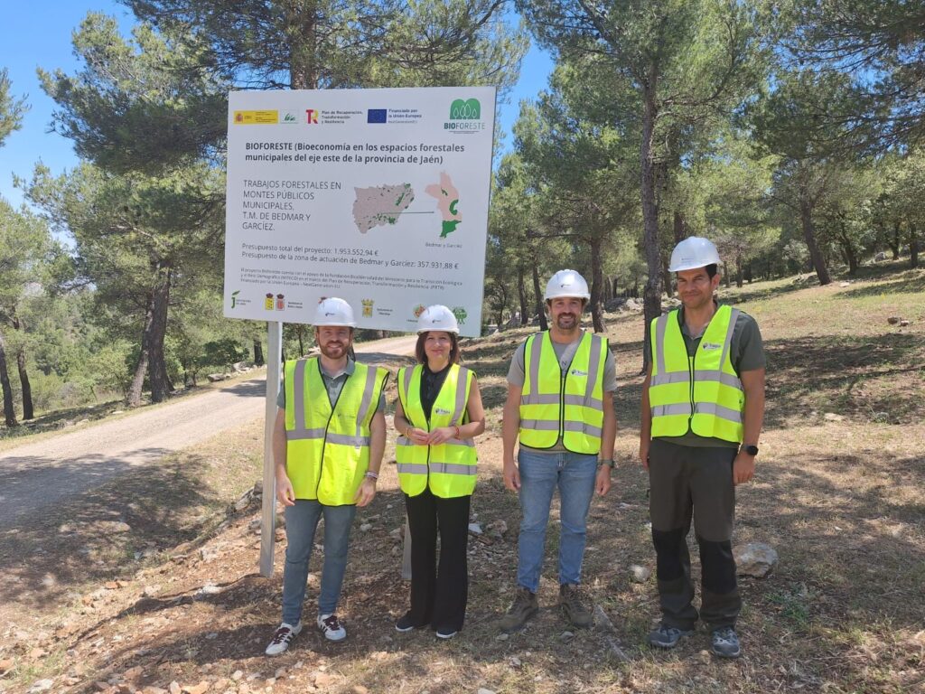 20250528 Visita trabajos Bioforeste en Bedmar 1