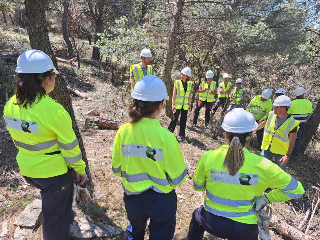 20250528 Visita trabajos Bioforeste en Bedmar 2