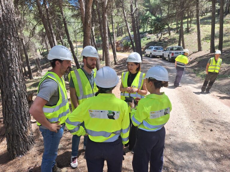 20250528 Visita trabajos Bioforeste en Bedmar (3)