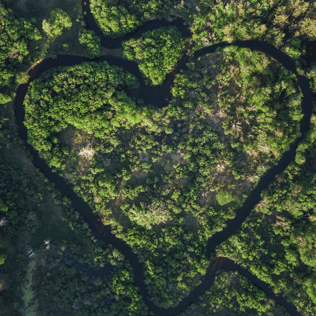 banner medioambiente