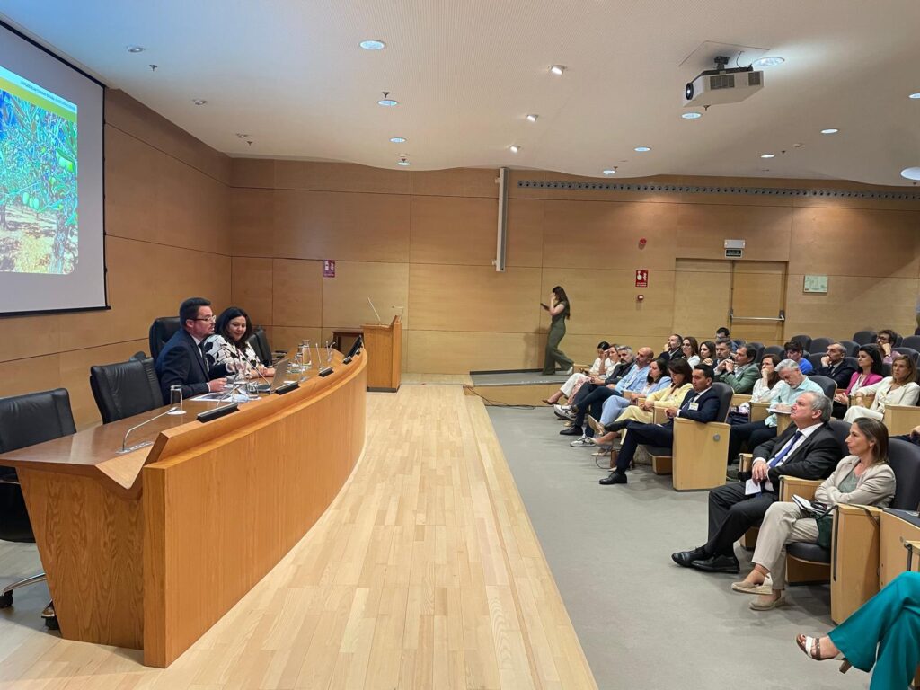 20250611 Presentacixn en Madrid proyecto xOleoturismo Espaxax 1