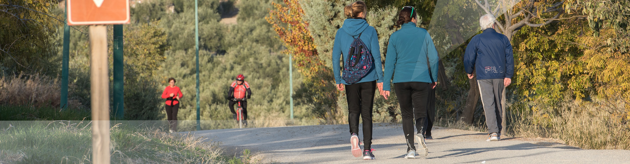 Fondos Europeos Fractales 2048X534 Transparente copia