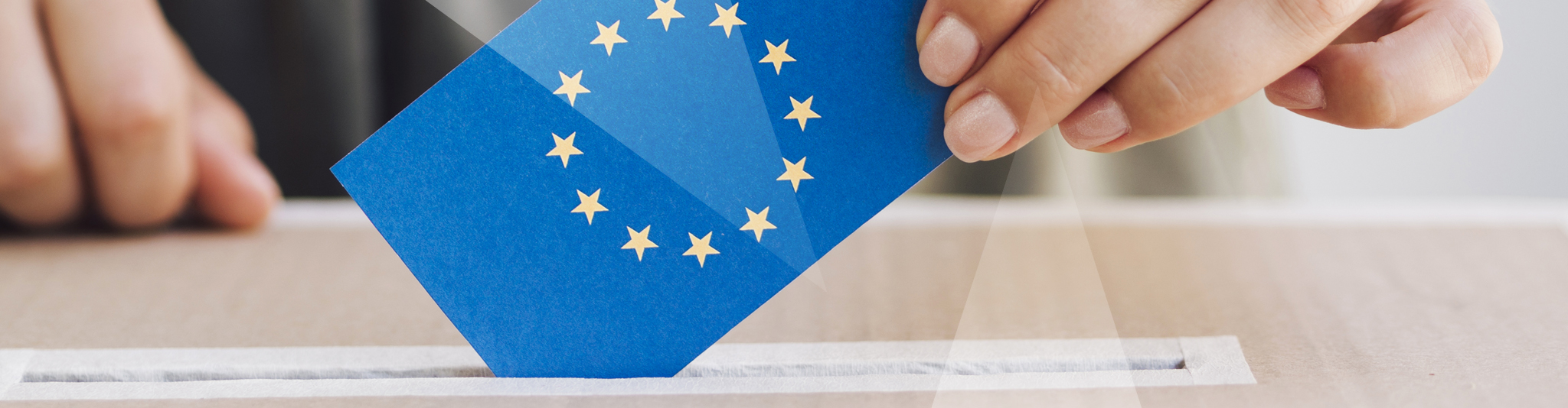 Fondos Europeos Fractales 2048X534 Transparente copia