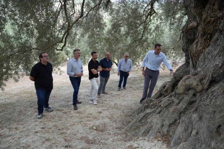 20260909 Visita sendero experiencial Acebuce de las Hoyas (1)